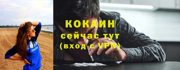 молекула духа Алексин
