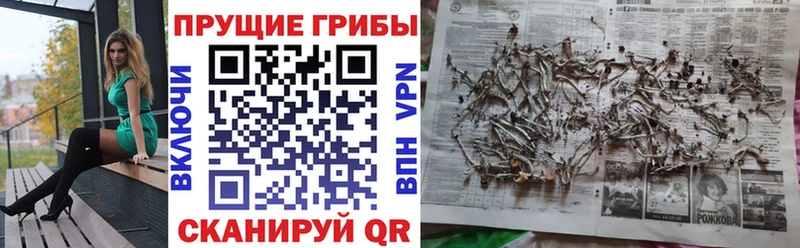 Псилоцибиновые грибы мухоморы Ивантеевка