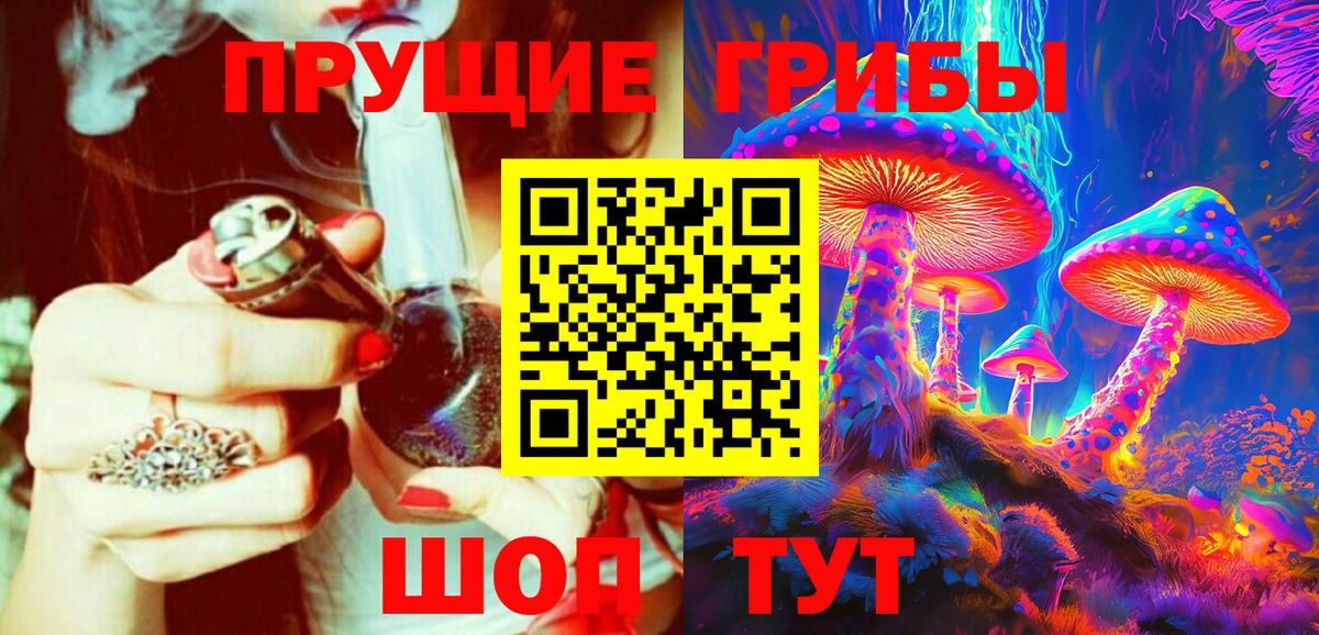 где можно купить наркотик  Вход с VPN  Ивантеевка  Галлюциногенные грибы прущие грибы  Галлюциногенные грибы прущие грибы 