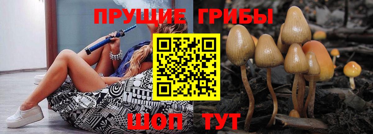 Псилоцибиновые грибы Psilocybine cubensis Ивантеевка